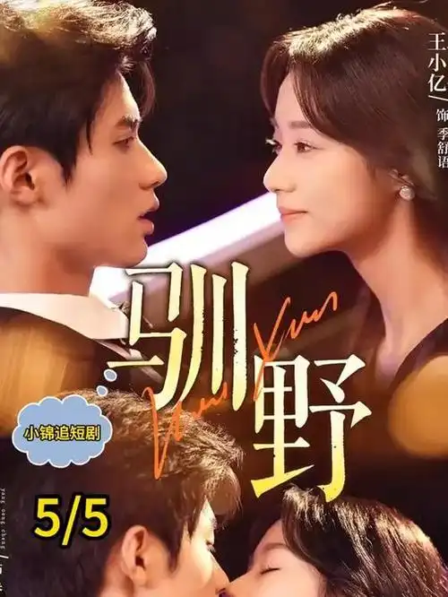 被窝电影热播剧集群山回声海报